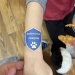 Маленькі друзі тварин! 14 u29 558865738 4153936781419148 4108186688861823098 n