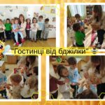 u29 565713567 24939168655723608 3294380726028411301 n