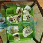 Екологічний тиждень у групі "Мандрівники"! 9 656628444 26356538160653310 5543111639295851593 n